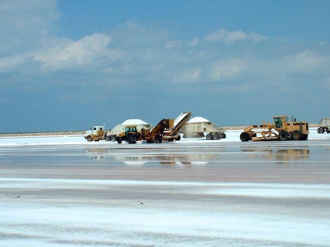 Salt Export